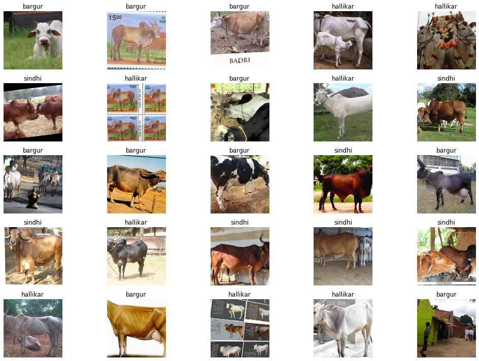 Indian Cows Breed Preview